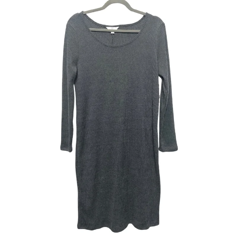 Dress Sweater By Time And Tru In Grey, Size: M Holiday Sweater Dress